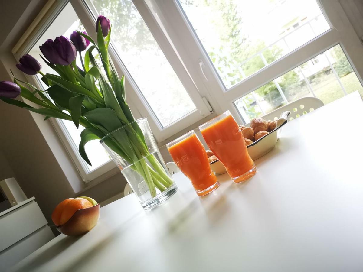 Appartement Na Wyzynach à Bydgoszcz Extérieur photo
